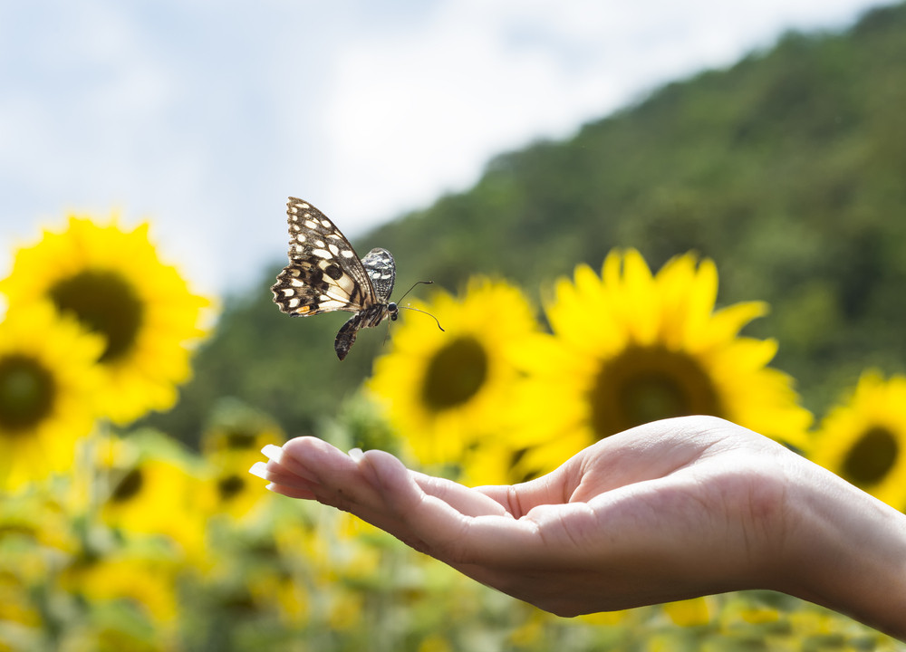 Talisman: Foto: © Endless Buta / shutterstock / #292866353